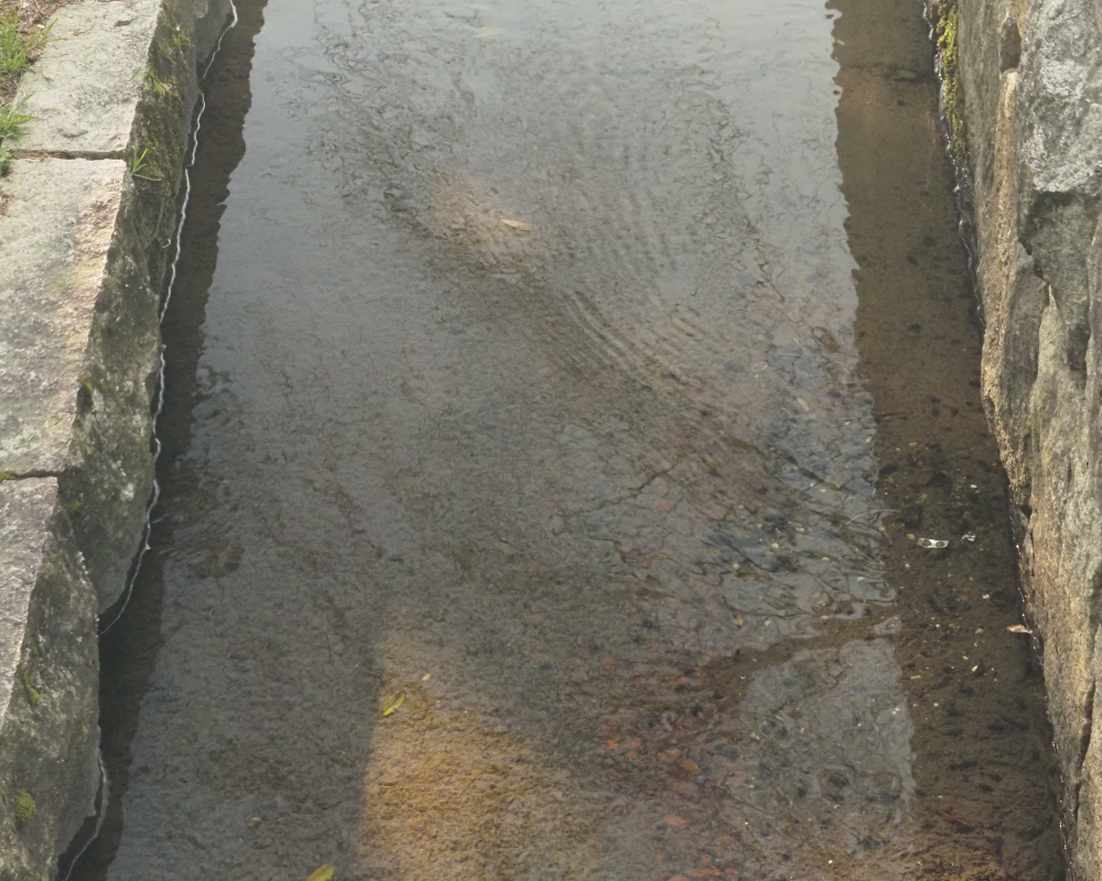 レンズ色偏光グレー透過率13％の画像