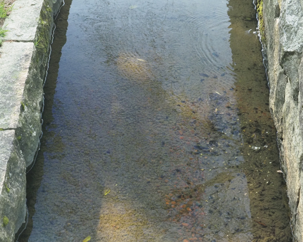 レンズ色偏光ブルーグレー透過率20％の画像