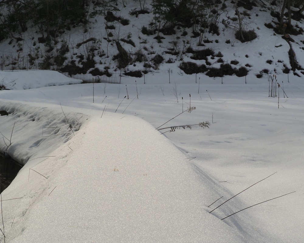 レンズ視界雪山