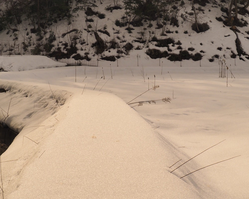 レンズ視界雪山