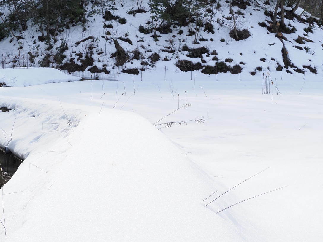 裸眼雪山