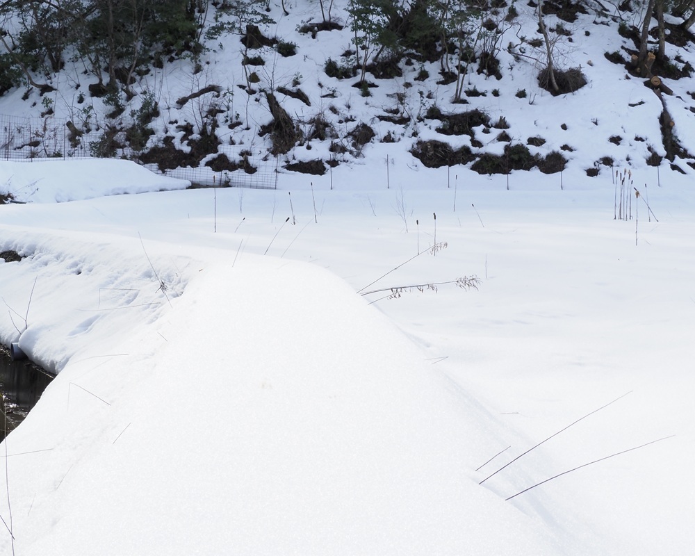 裸眼視界雪山
