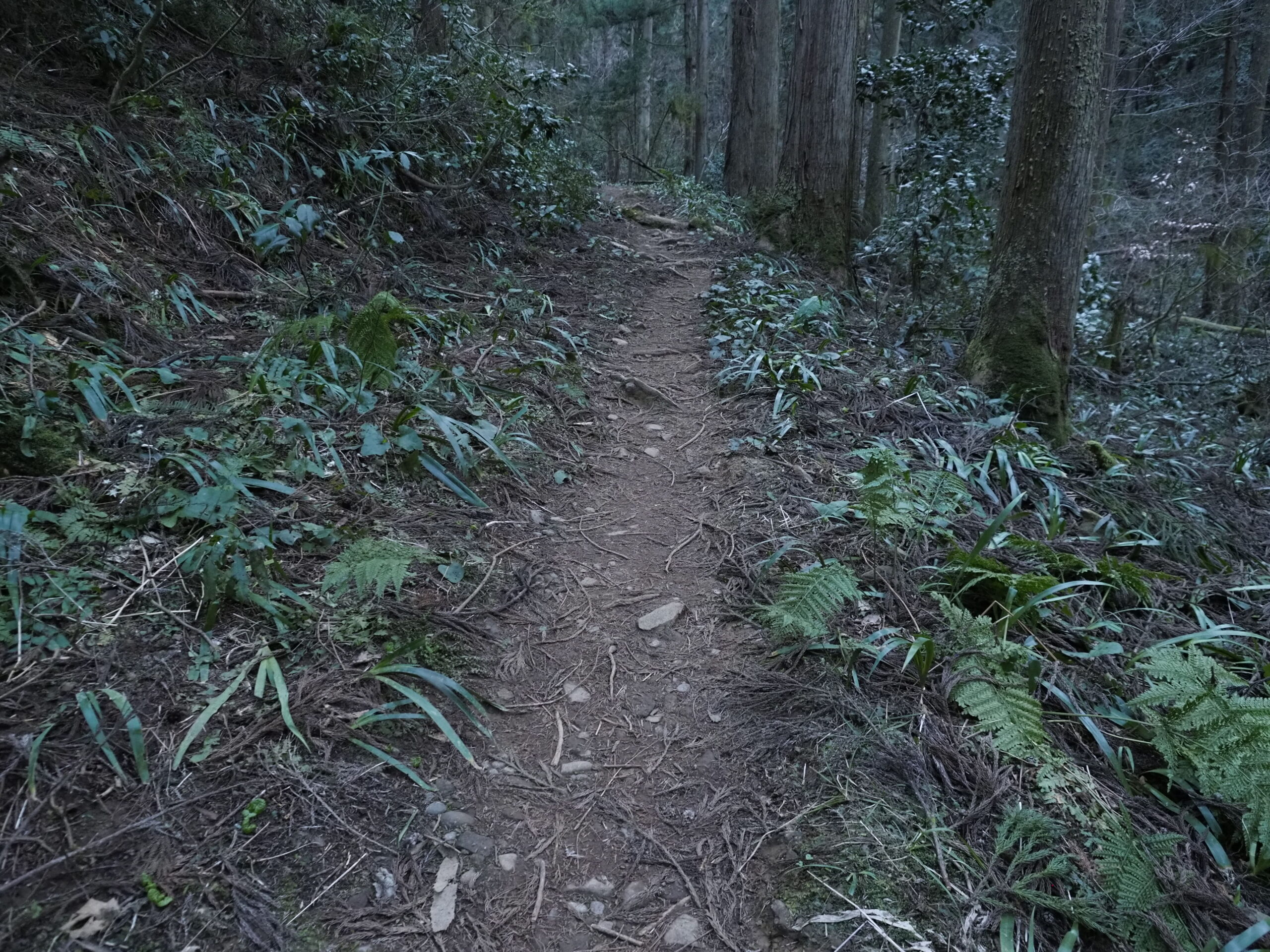 レンズ視界雪山